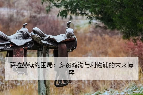 萨拉赫续约困局：薪资鸿沟与利物浦的未来博弈